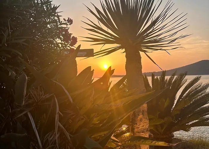 Bleu Corse, Entre Et Soleil